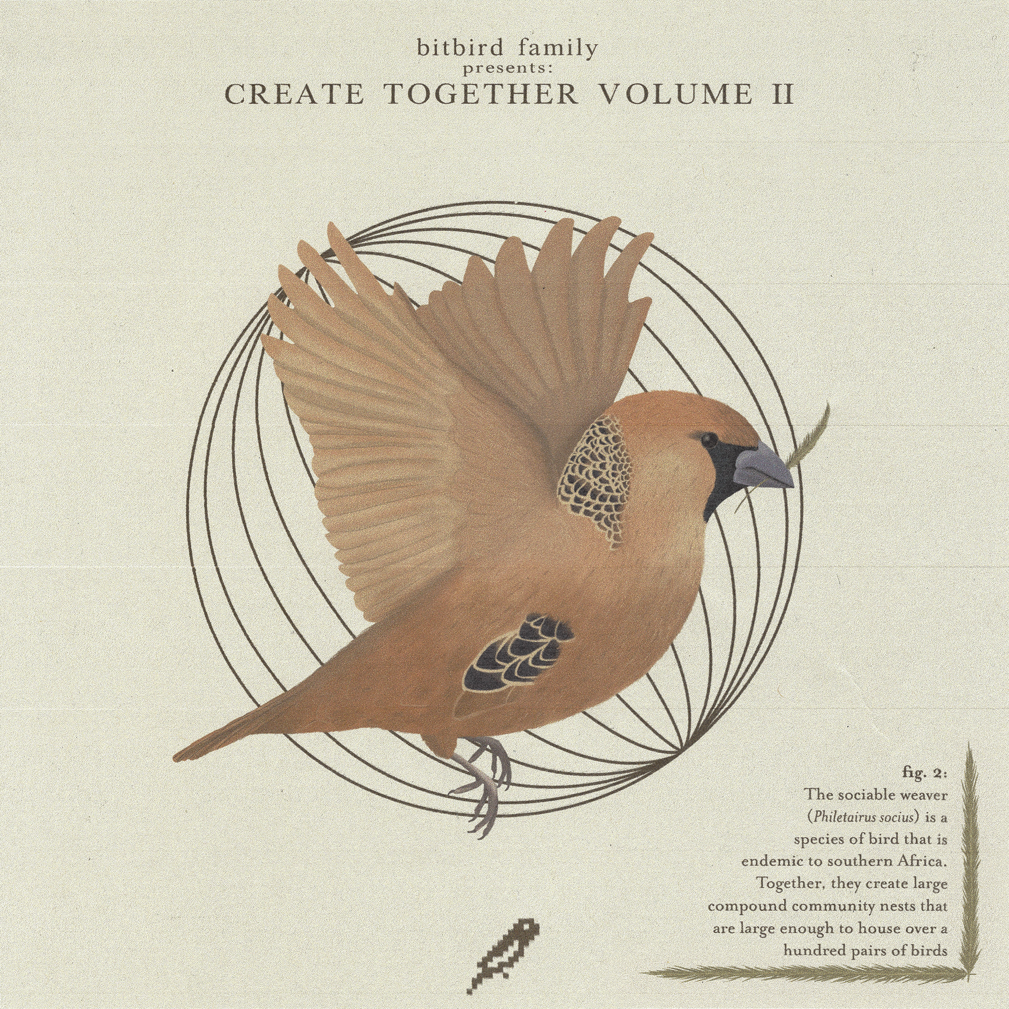 create together vol. 2